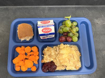 School Blue Serving Tray with Turkey and Gravy, Mashed Potato, Cranberry Sauce, Grapes, Milk, Dinner Roll, Carrot Coins